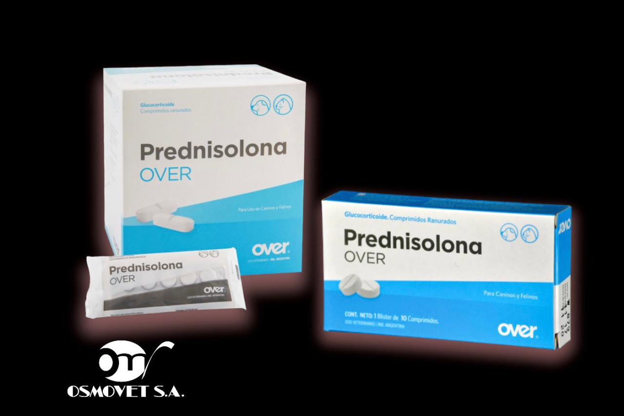PREDNISOLONE PARA QU SIRVE DOSIS Y EFECTOS SECUNDARIOS visual data 8